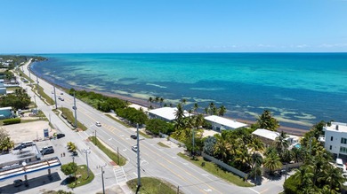 Beach Retreat in Lower Matecumbe, Islamorada. This 6 bedroom, 4 - photo 25