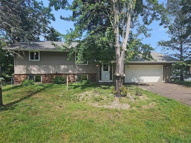 Lake Home For Sale in Linwood Twp, Minnesota