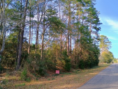 Lake Galahad - Timber Lakes Lot For Sale in Woodville Texas