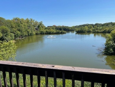 Incredible Panoramic view of the lake from East to West with a - photo 2