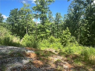 Coosawattee River - Gilmer County Lot For Sale in Ellijay Georgia