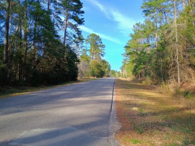 Private Lakes, 2 Lot Package, Golf Cart Friendly Community, - photo 4