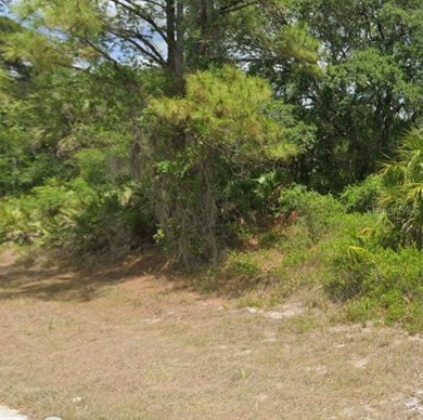 Port Charlotte Waterway Area Lot For Sale in Port Charlotte Florida