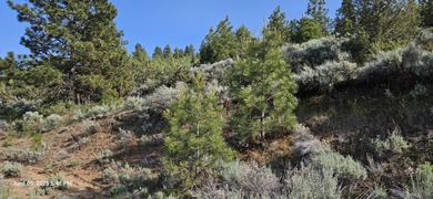 Upper Klamath Lake Acreage For Sale in Klamath Falls Oregon