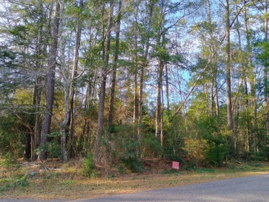 Private Lakes, 2 Lot Package, Golf Cart Friendly Community, - photo 5