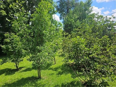 Great Location. 4 bedroom, 3 full bathroom homes is in need of - photo 10