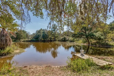 (private lake, pond, creek) Home For Sale in Smithville Texas