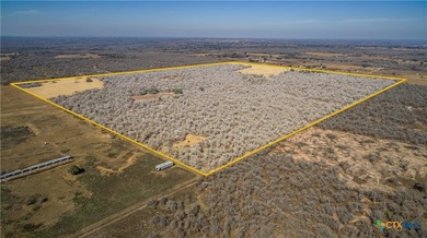 Whispering Pines Floresville Ranch is a rare opportunity to own - photo 4