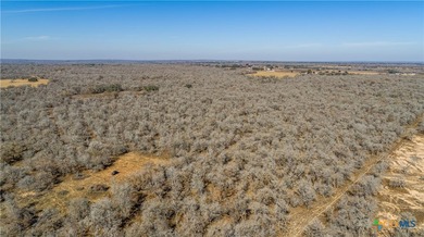 Whispering Pines Floresville Ranch is a rare opportunity to own - photo 5