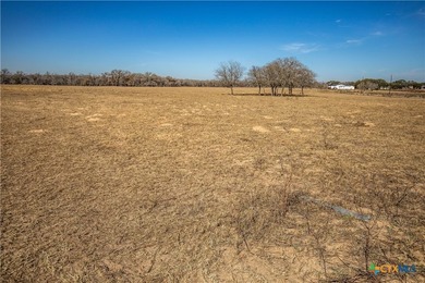 Whispering Pines Floresville Ranch is a rare opportunity to own - photo 7