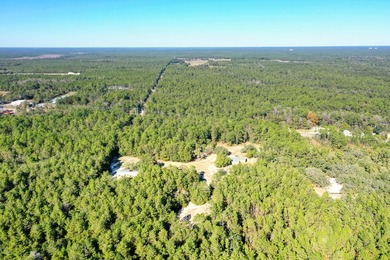 Price Improvement! Bring Offers! Welcome to Brannon Acres! - photo 5