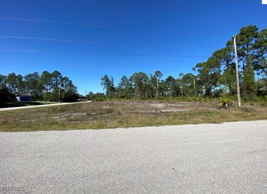 Lehigh Acres Area Lot For Sale in Lehigh Acres Florida