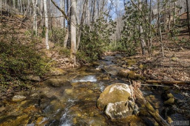 Bear Creek Lake Acreage For Sale in Tuckasegee North Carolina