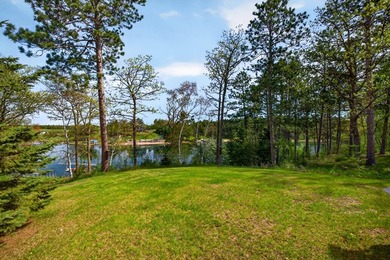 Lake Belle Taine Home! Take a look at this spacious one-level - photo 30