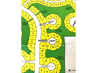 Premium home site in Cypress Village at Sugarmill Woods. Lot 17 - photo 1