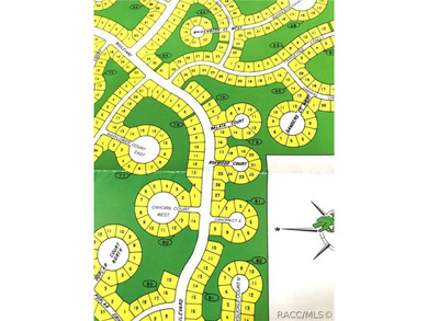 Premium home site in Cypress Village at Sugarmill Woods. Lot 17 - photo 7
