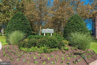 Charming Luxury Condo on the edge of Baker Park. Discover the - photo 49