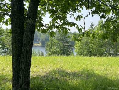 Hamilton Lake Acreage For Sale in Vulcan Michigan