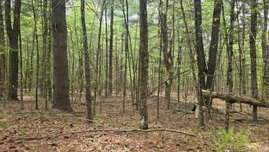 Build your dream home on this 3-acre parcel tucked away on a - photo 1