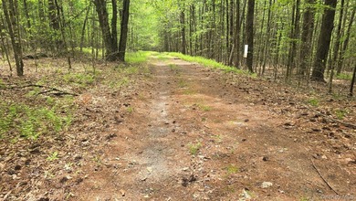 Build your dream home on this 3-acre parcel tucked away on a - photo 2