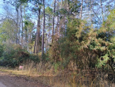 Private Lakes, 2 Lot Package, Golf Cart Friendly Community, - photo 6