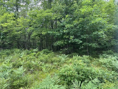 Unique opportunity to own 4.65 acres of buildable land with an - photo 11