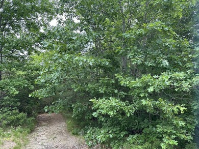 Unique opportunity to own 4.65 acres of buildable land with an - photo 12