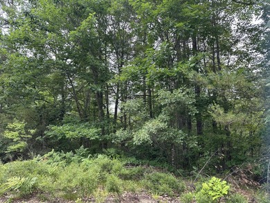 Unique opportunity to own 4.65 acres of buildable land with an - photo 13