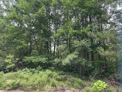 Unique opportunity to own 4.65 acres of buildable land with an - photo 14