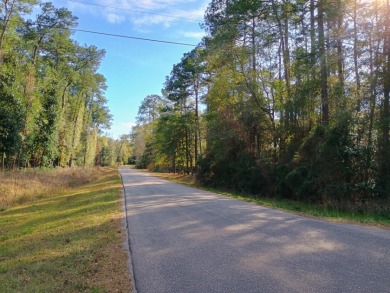 Private Lakes, 2 Lot Package, Golf Cart Friendly Community, - photo 3