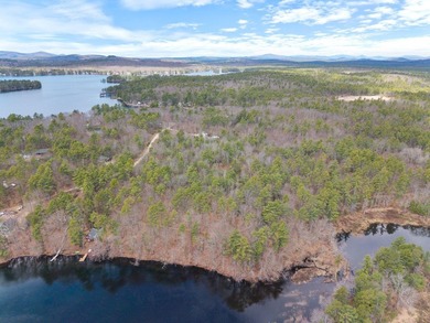 Unique opportunity to own 4.65 acres of buildable land with an - photo 23