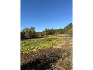 (private lake, pond, creek) Acreage For Sale in Mineral Wells Texas