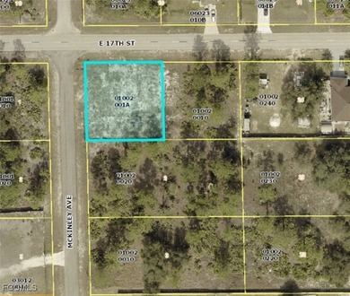 Lehigh Acres Area Lot For Sale in Lehigh Acres Florida