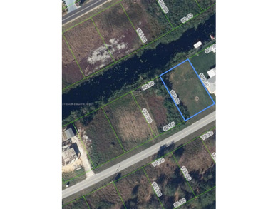 (private lake, pond, creek) Lot For Sale in Lake Placid Florida