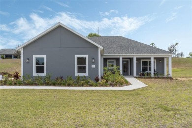 Lake Home For Sale in Umatilla, Florida