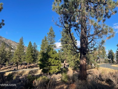 One of the most private and expansive parcels within Clear Creek - photo 1