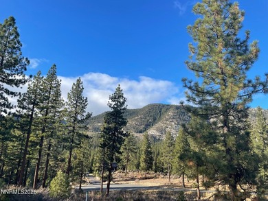 One of the most private and expansive parcels within Clear Creek - photo 2