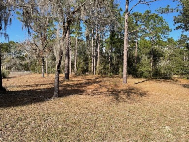 Lake Lot Sale Pending in Dunnellon, Florida