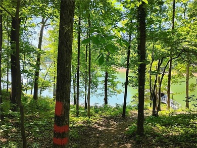 Rare opportunity for a premiere lake lot near Clemson! - photo 7
