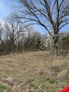 Lake Lot Located at Beautiful Rough River Lake - Lake Lot Under Contract in Leitchfield, Kentucky