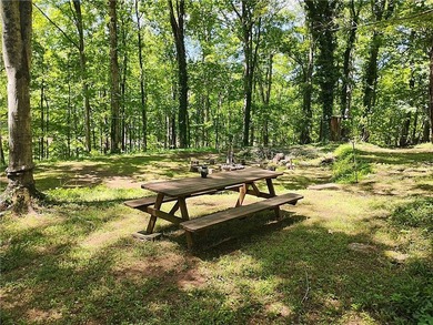 Rare opportunity for a premiere lake lot near Clemson! - photo 10