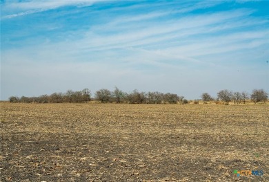 Set on 116 plus or minus acres with direct access off FM 973 via - photo 9