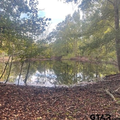Absolutely Breathtaking Property! If you are looking for a large - photo 10