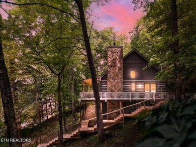 Lake Home For Sale in Spring City, Tennessee