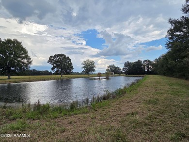 (private lake, pond, coastal) Acreage For Sale in Scott Louisiana