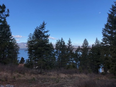 Flathead Lake Lot For Sale in Bigfork Montana