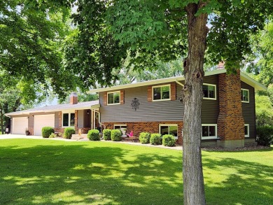 Lake Home For Sale in Varna, Illinois
