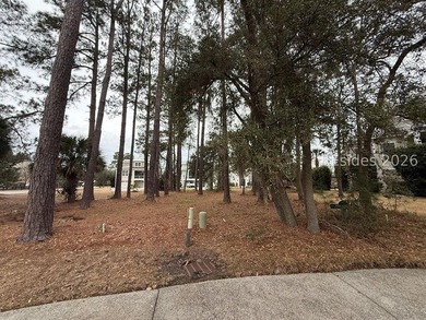 Build your dream Lowcountry home in the sought-after Paddocks, a - photo 2