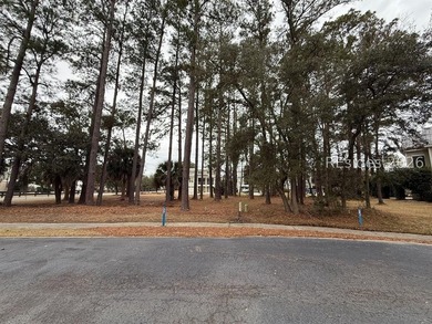 Build your dream Lowcountry home in the sought-after Paddocks, a - photo 3