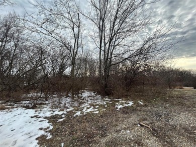 Lake Lot For Sale in Carlyle, Illinois